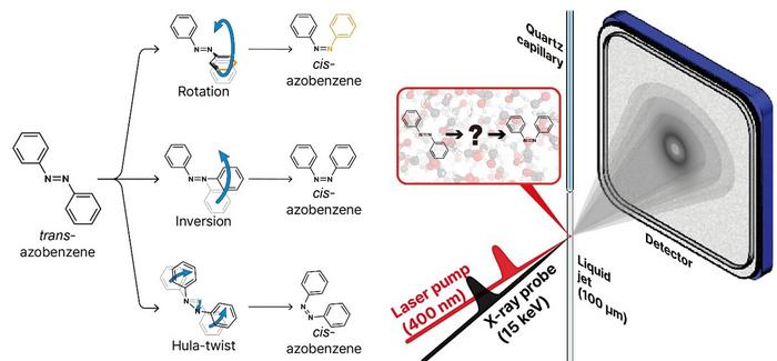 KAIST Reveals How the Light-Responsive Molecular Switch Azobenzene Changes Shape