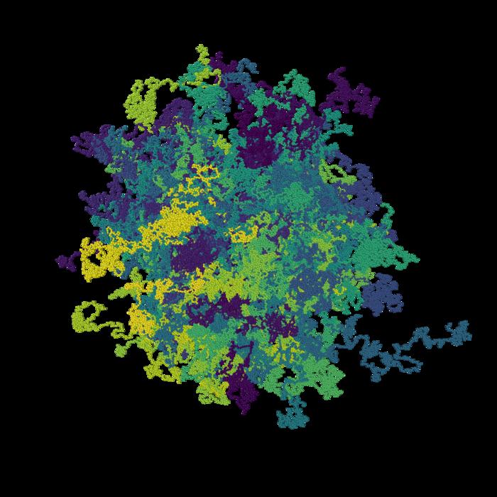 Entangled active flexible polymer filaments