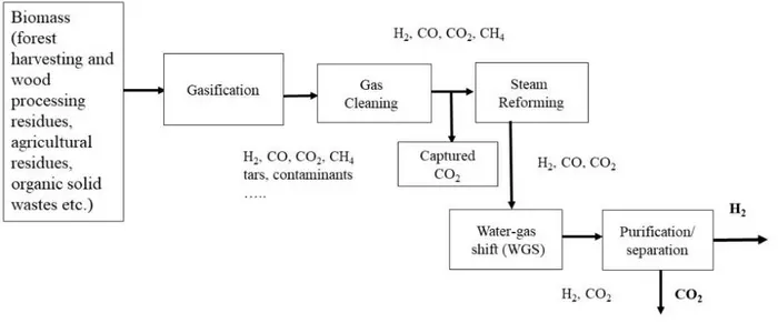 Process pathway of biomass to hydrogen with CO2 capture