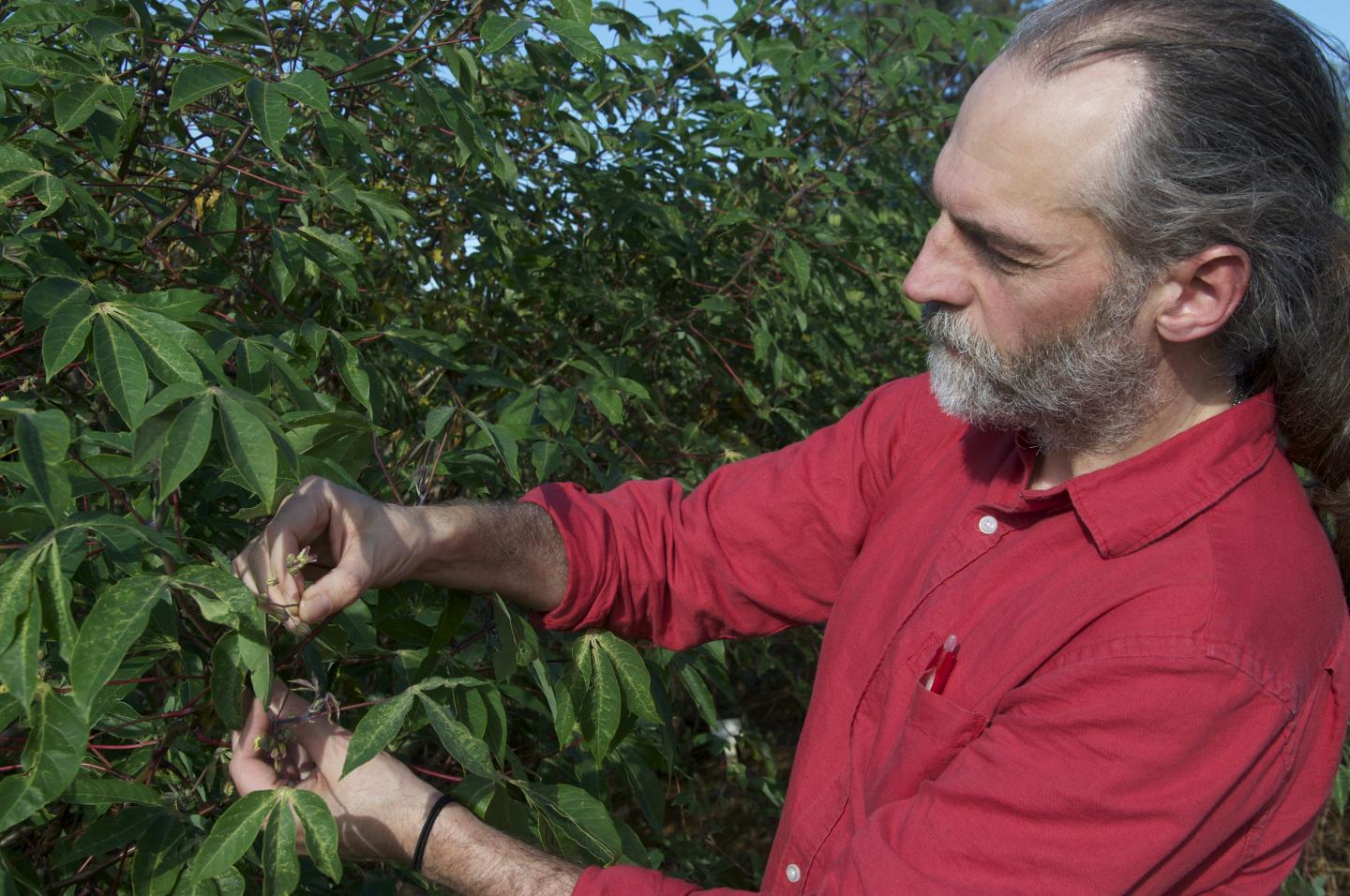 Dr. Nigel Taylor, Donald Danforth Plant Science Center