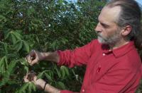 Dr. Nigel Taylor, Donald Danforth Plant Science Center