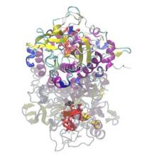 Biology--Bacterial Breakdown