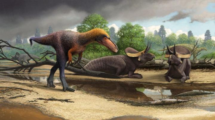 <i>Suskityrannus hazelae</i>