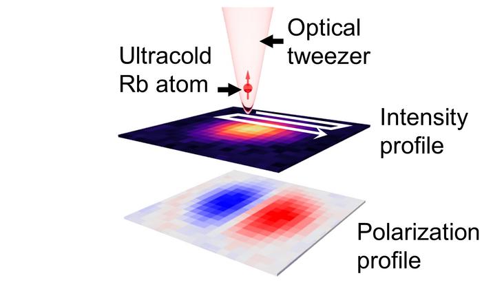 Conceptual illustration of the Atom Camera. A single ultracold rubidium (Rb) atom trapped in an optical tweezer is spatially scanned to visualize the intensity and polarization distributions of a light pattern.