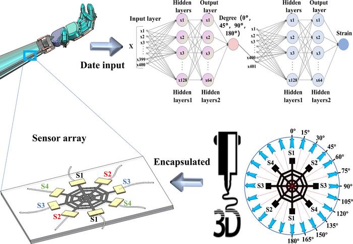 Bioinspired spiderweb MXene sensor array enables intelligent multidirectional strain perception