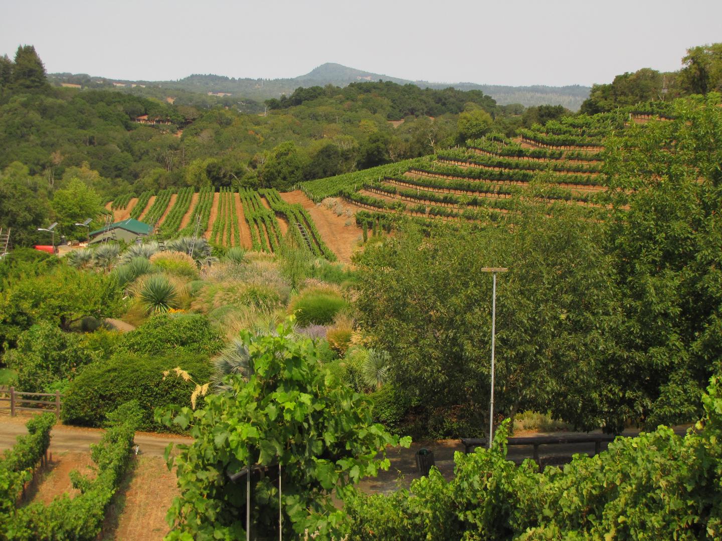 Benzinger Family Winery