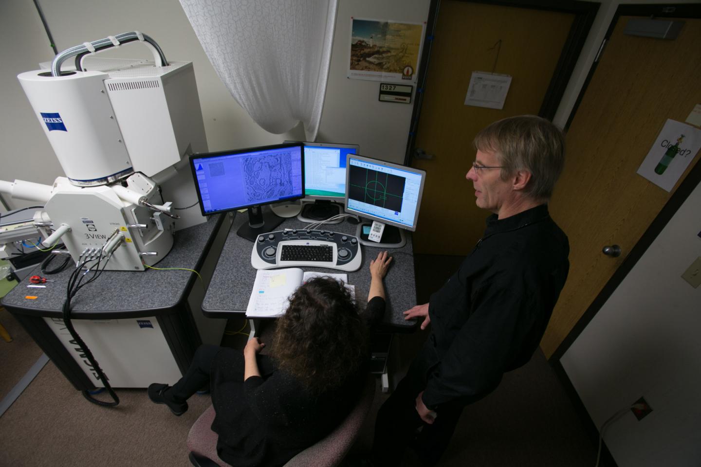 Cirelli Microscope