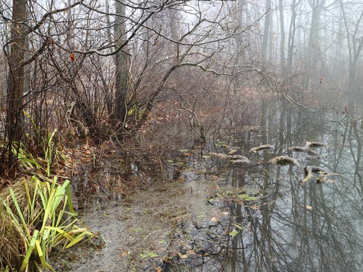 The Role of Lakes in Global Warming
