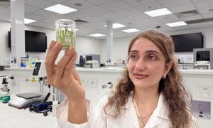 Researcher with saltbush powder