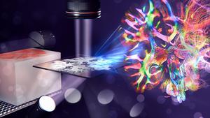 Artist’s impression of ComSLI. A rotating LED light coming from below shines through a whole human brain section into a high-resolution camera above.