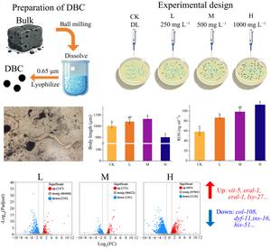 The dose-dependent effects of dissolved biochar on C. elegans: insights into the physiological and transcriptomic responses