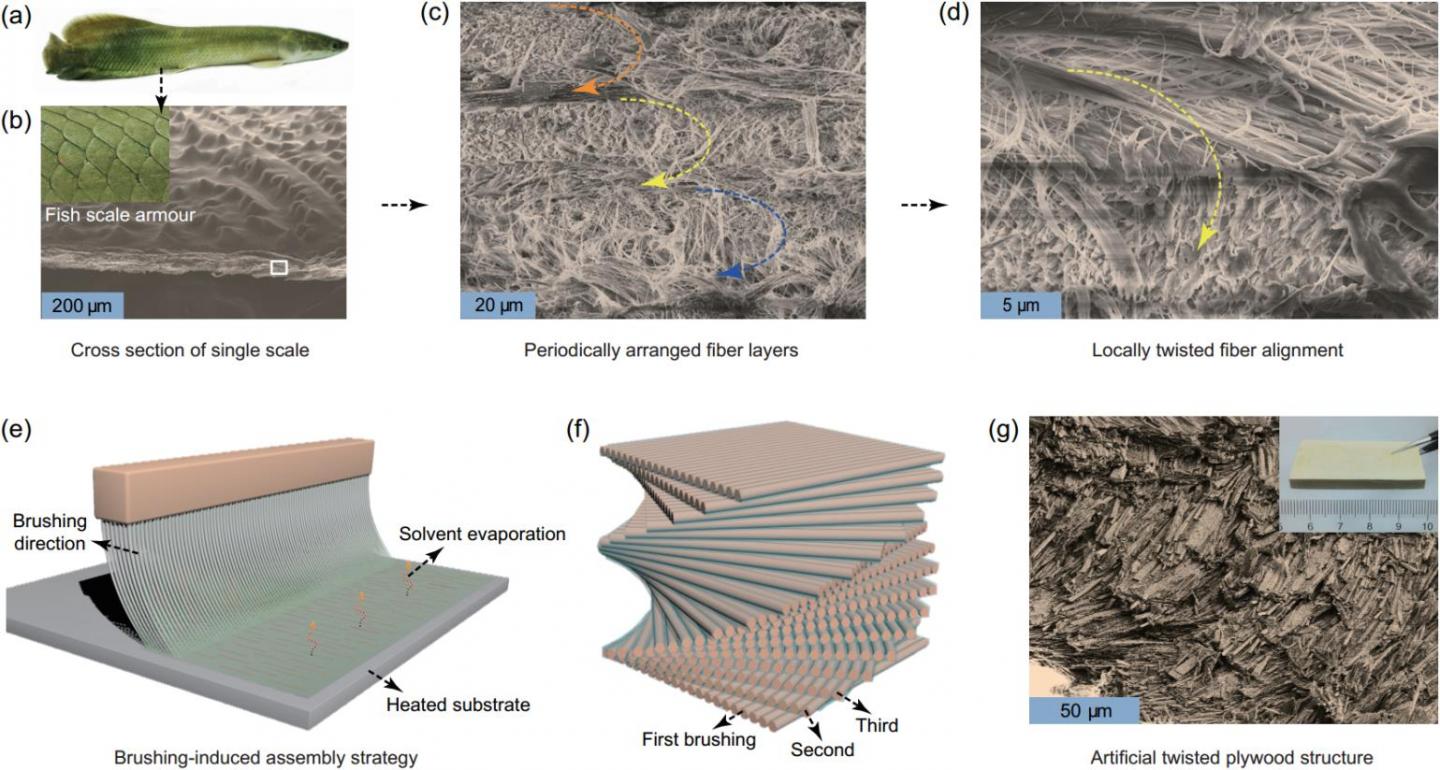 Biomimetic Micro/Nanoscale Fiber Reinforced Composites