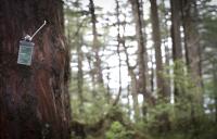 Environmental Data