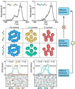 Relaxation dynamics governed by heterogeneity of electronic interactions
