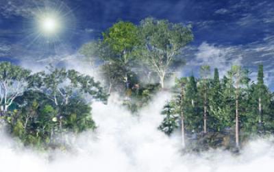 If a Tree Falls in the Forest, and No One Is Around to Hear It, Does Climate Change? (2 of 2)