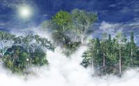 If a Tree Falls in the Forest, and No One Is Around to Hear It, Does Climate Change? (2 of 2)