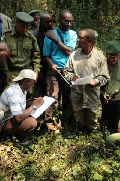  Deo Kujirakwinja, Wildlife Conservation Society