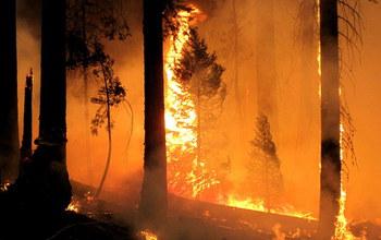 The 2013 Rim Fire
