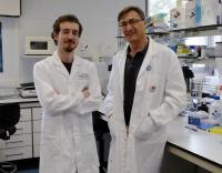 New Pathway to Attack Tumor Cells Identified