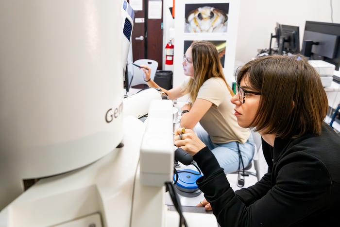 COCOON lab materials imaging service