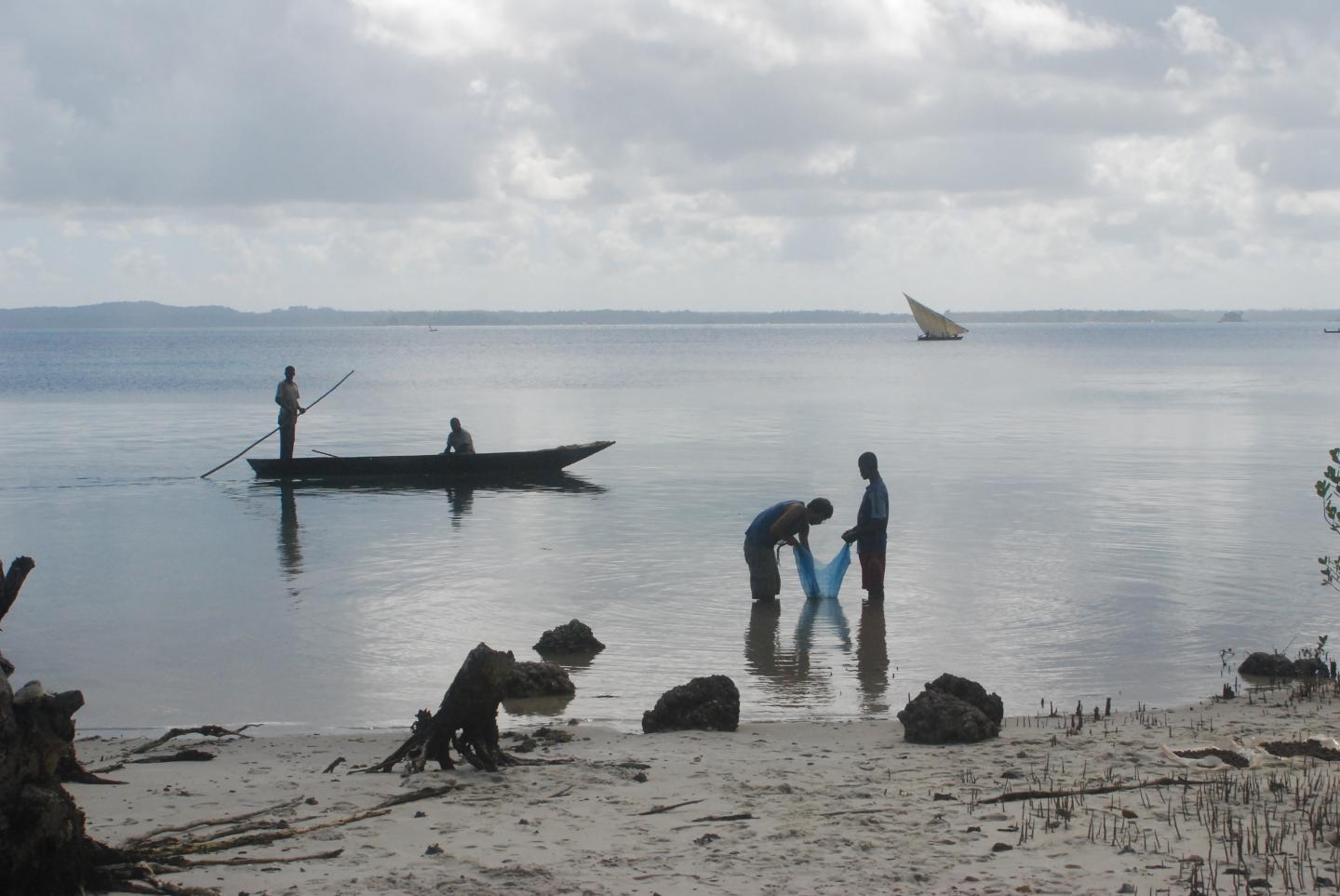 Recovering Plant Remains on the Coast of East Africa