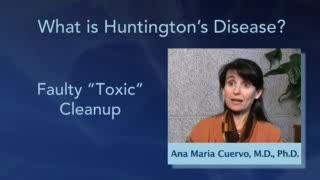 Interview with Dr. Ana Maria Cuervo