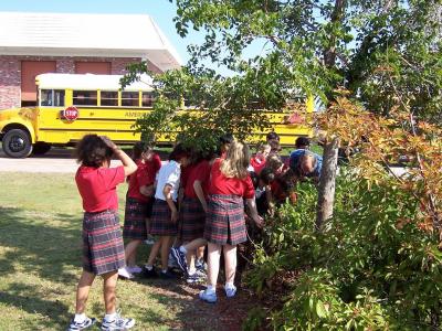 Middle School Students Introduced to Arboriculture Topic