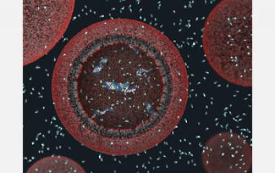 A New Way to Think About Earth's First Cells (3 of 3)