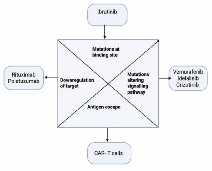 Targeted therapies and resistance mechanisms in lymphoma: Current landscape and emerging solutions