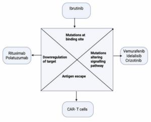 Targeted therapies and resistance mechanisms in lymphoma: Current landscape and emerging solutions