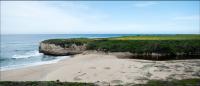 Santa Cruz estuary