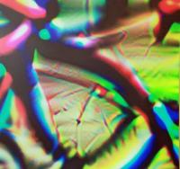 Object Detection System Point-of-View