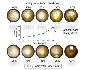 sCO₂ Foam Texture Evolution