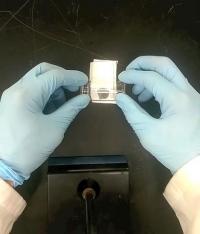 Conductive MXene Clay