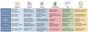 Overview of in vitro modelling strategies for major hepatic pathologies.