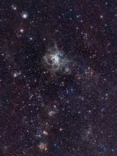 VISTA Magellanic Cloud Survey View of the Tarantula Nebula