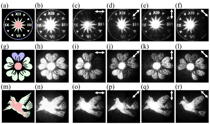 Experimental demonstrations of different vectorial holograms.