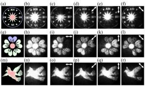 Experimental demonstrations of different vectorial holograms.