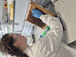 Jennifer Chennells, Oxford Bee Lab.