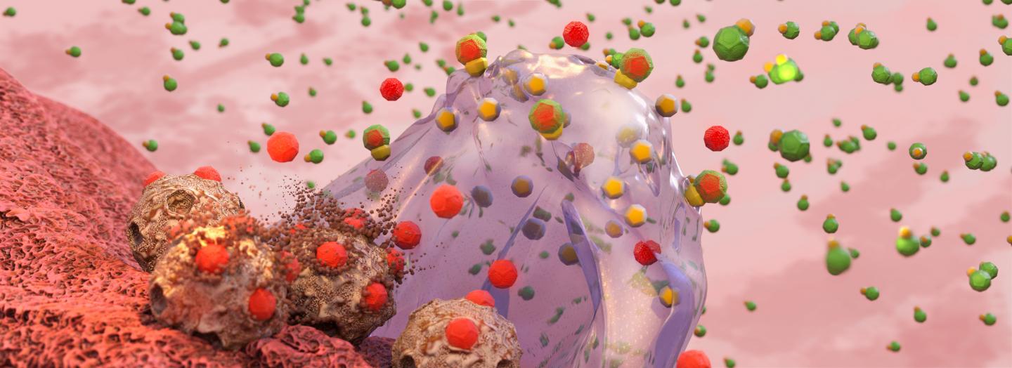Local Drug Activation at Solid Tumor Sites