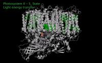 Photosystem II GIF