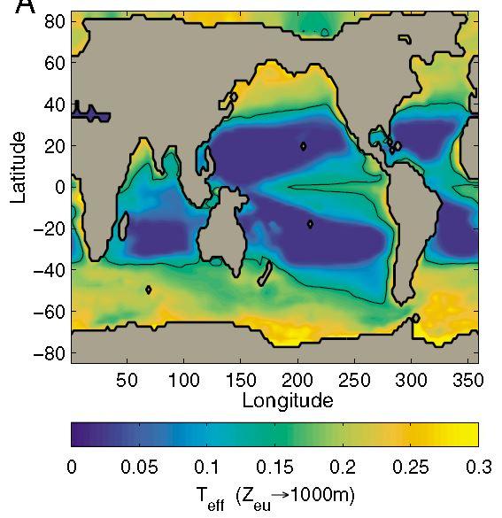 Carbon Sinking