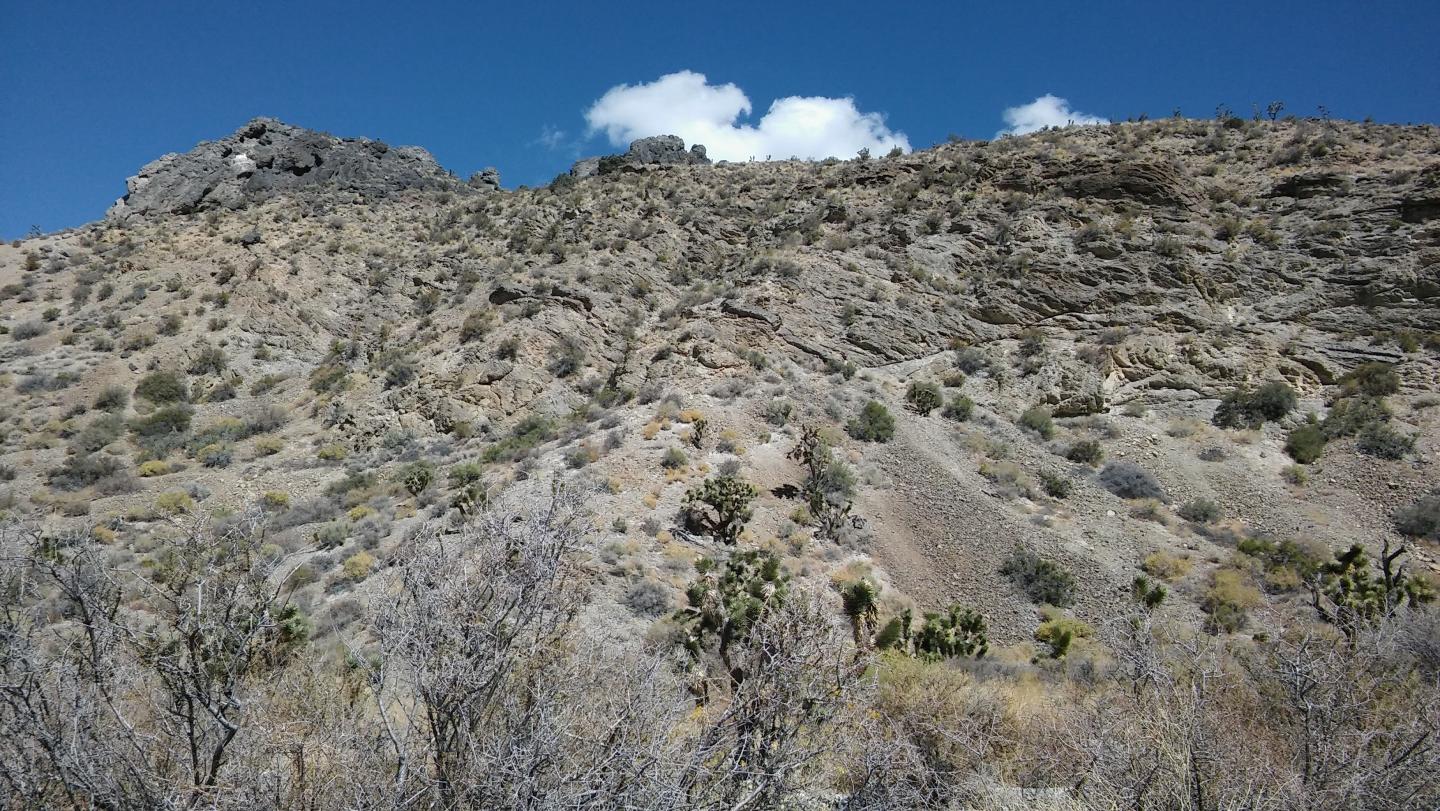 Sheep Range