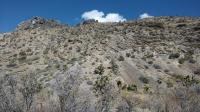 Sheep Range