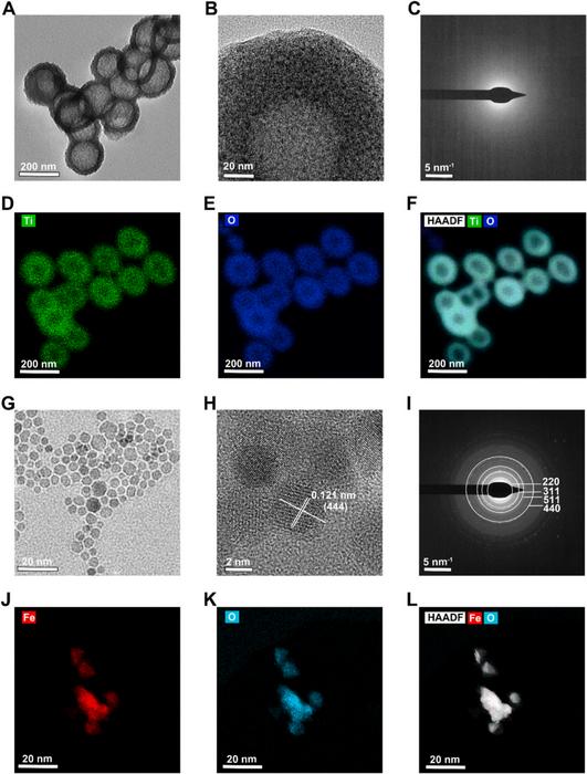 TiO₂ probe: amorphous, hollow structure with a size of approximately 150 nm, suitable for loading Raman reporter molecules (e.g., crystal violet, CV). IO probe: highly crystalline, with a size of approximately 10 nm, exhibiting good magnetic responsiven