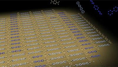 Nanometer Scale Organization