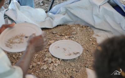Researchers Sifting Dirt in Pursuit of Fossil Bones