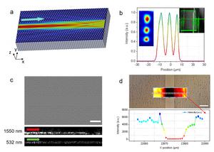 Figure 3 | Optical characterization and sensing performance of the nanohole-clad waveguide.