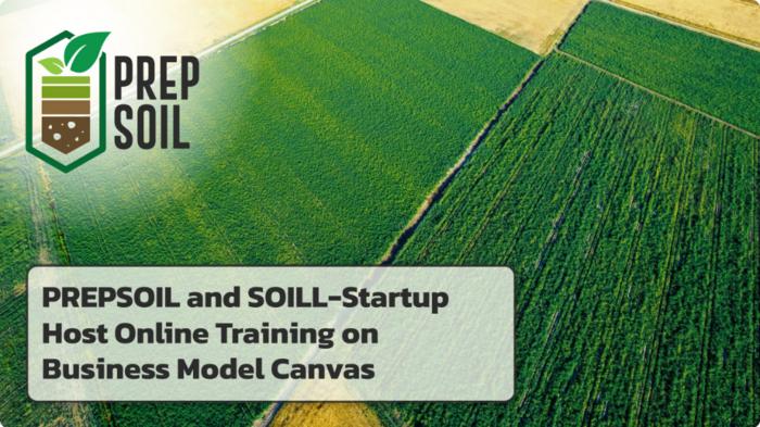 Online Training on Business Model Canvas
