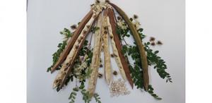 Common Asian plant in Brazil shows potential for removing microplastics from water